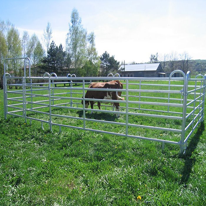 Galvanized Cattle Panels