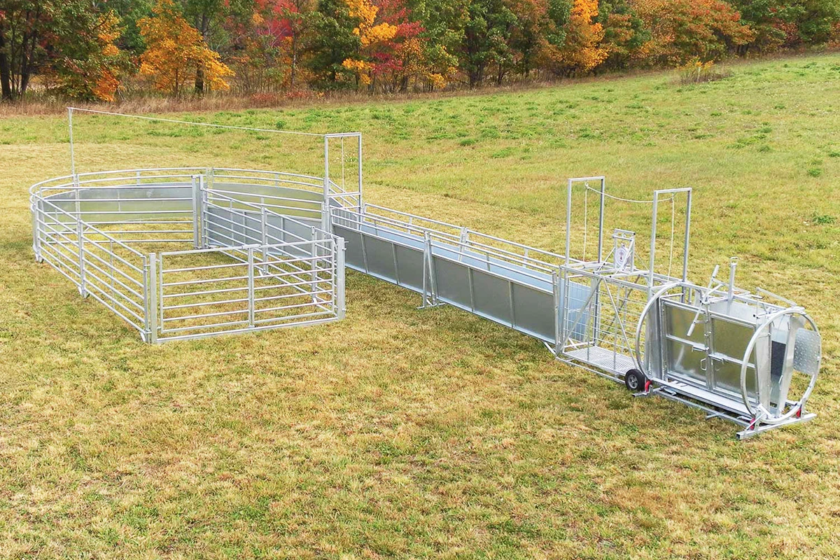 sheep squeeze chute for sale